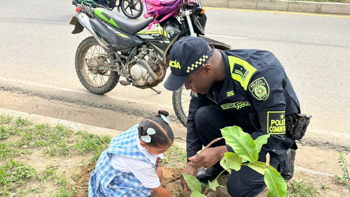 ‘Sembratón’ de árboles en calles de Magangué liderado por la policía