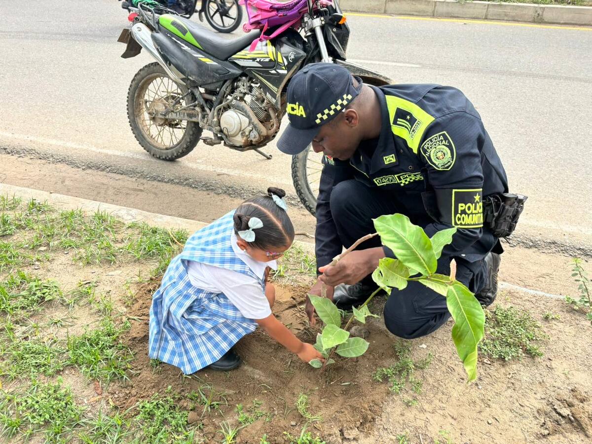 ‘Sembratón’ de árboles en calles de Magangué liderado por la policía