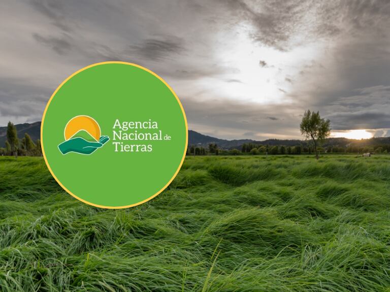 Logo de la ANT y un terreno (Foto vía Getty Images y de las redes sociales de la ANT)