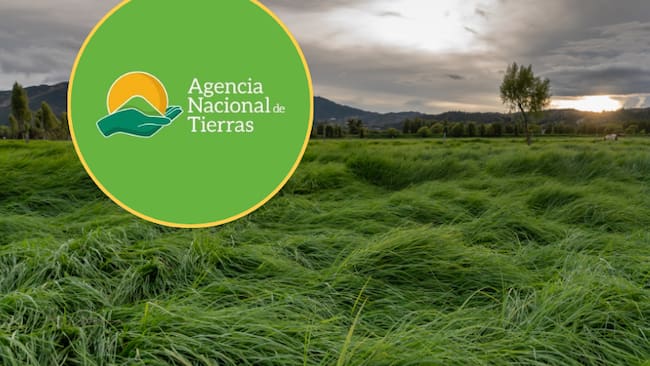 Logo de la ANT y un terreno (Foto vía Getty Images y de las redes sociales de la ANT)