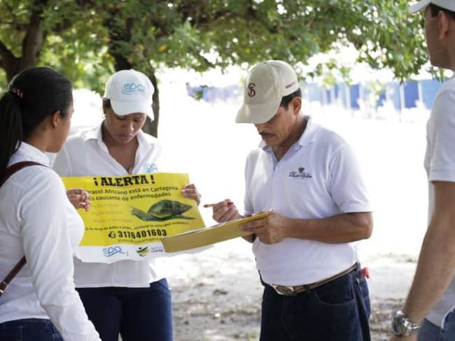 En Castillogrande en Cartagena realizan jornada de sensibilización sobre el caracol africano