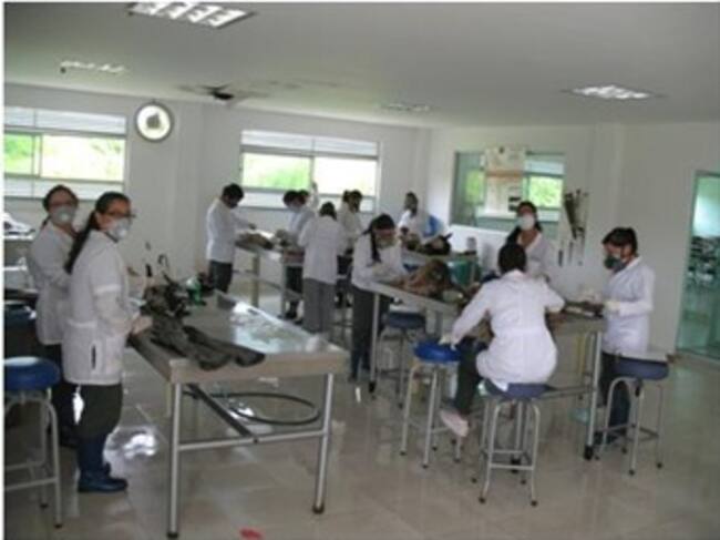 Foto: Fundación Universitaria San Martin