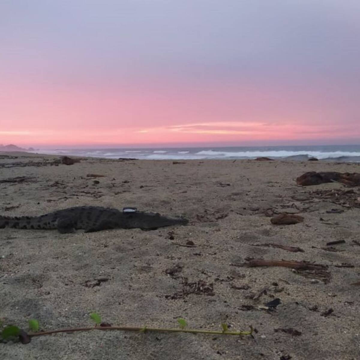 El Parque Tayrona reabre sus puertas para que turistas visiten sus playas