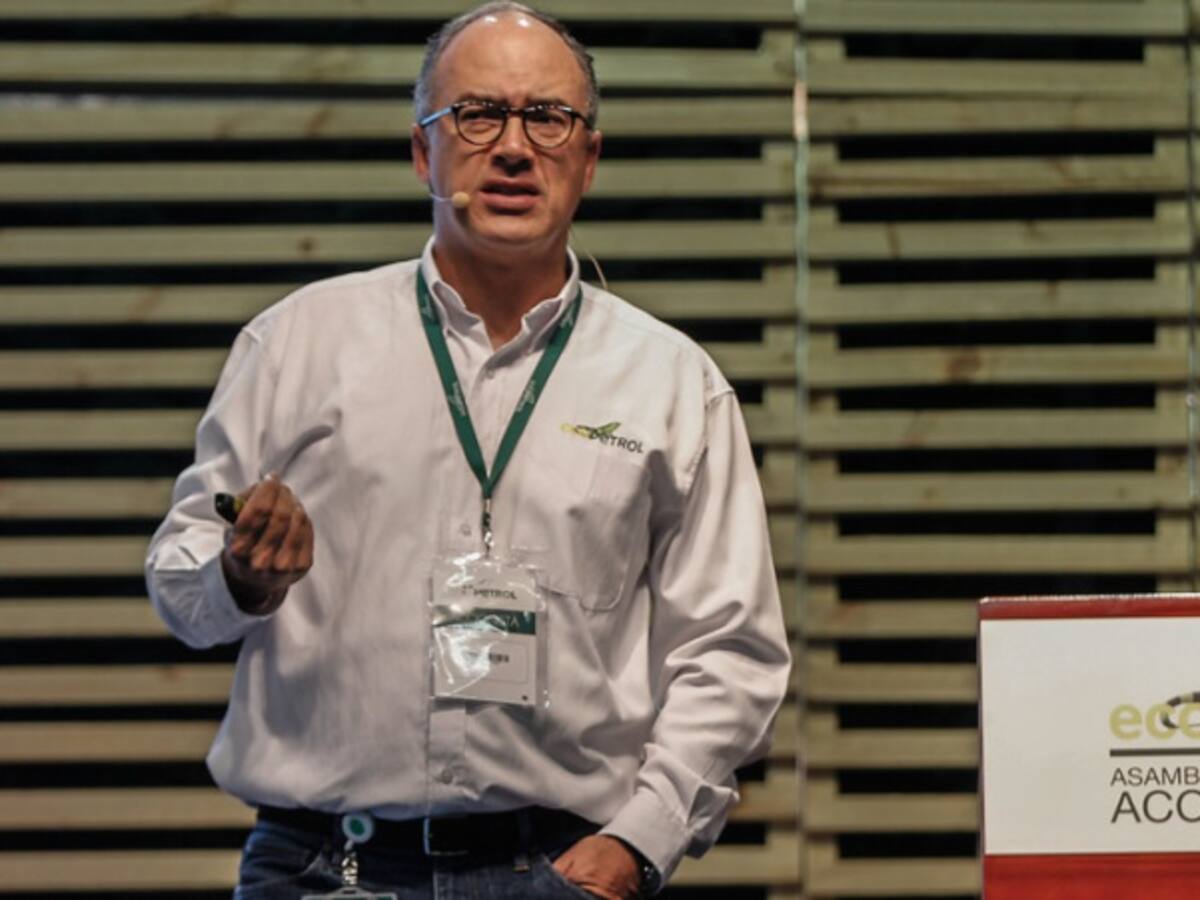 Entienda en que consiste la eliminación del monotributo