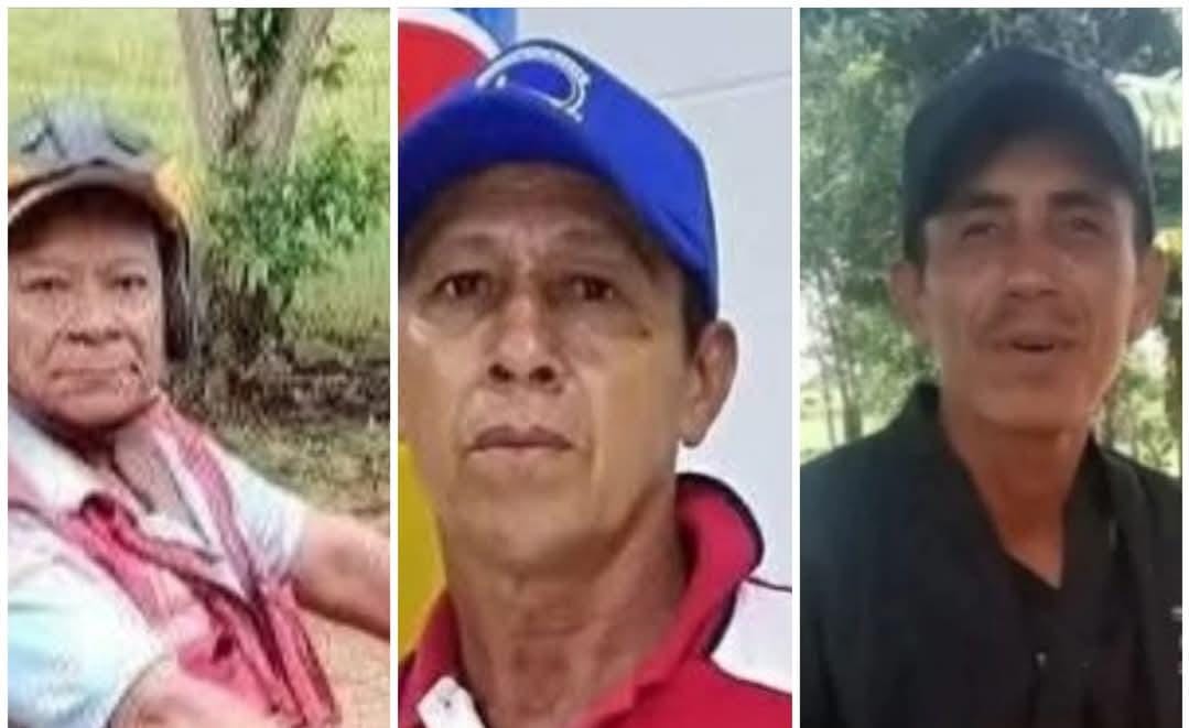 Fueron hallados en el sótano de una casa del barrio Bellavista. Foto Redes Sociales.