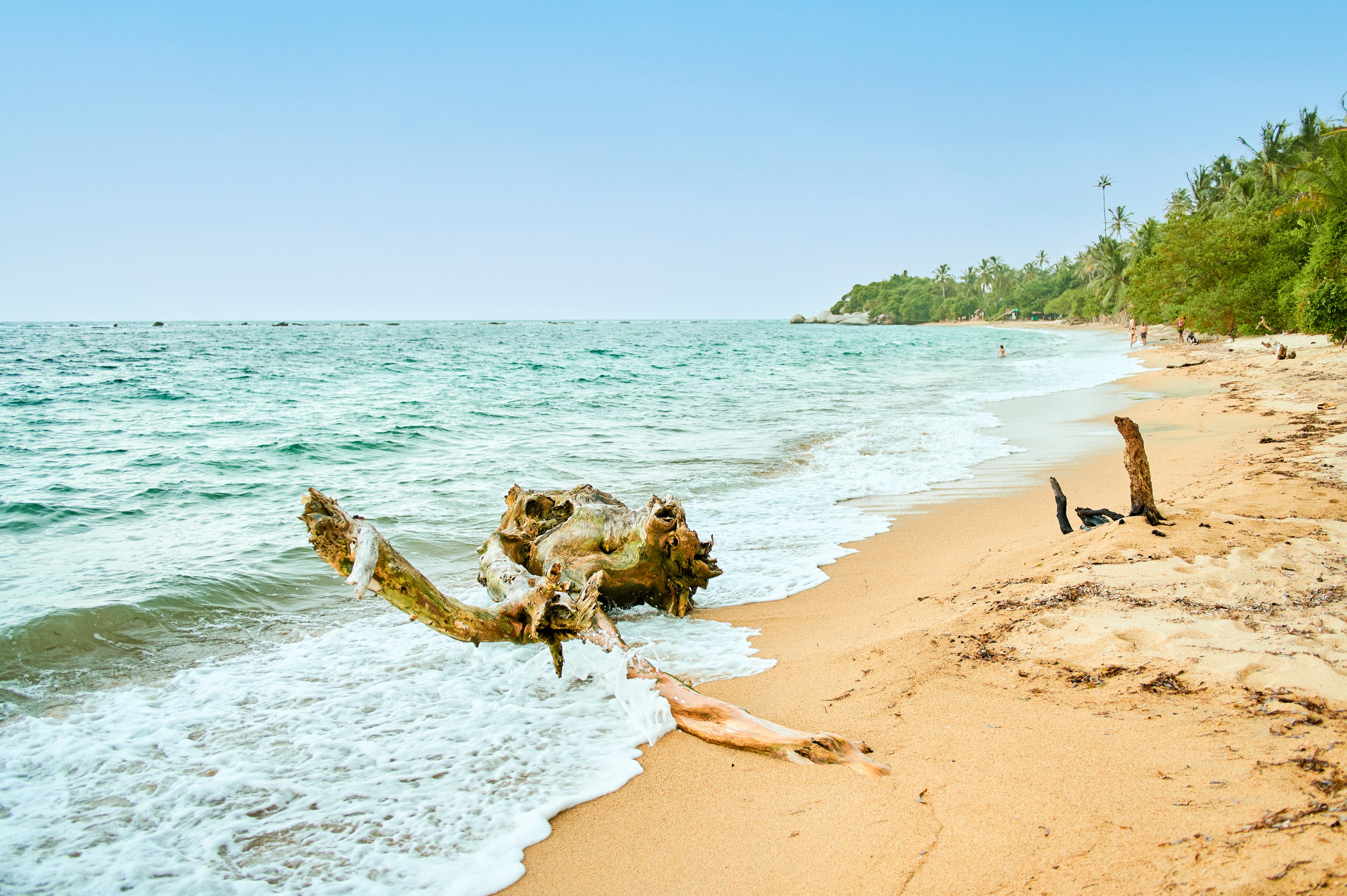 Playa, Parque Tayrona (Getty Images)