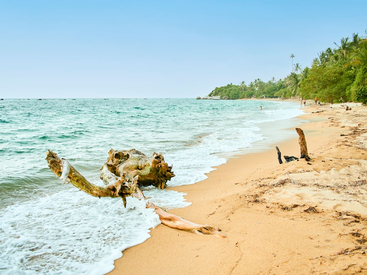 ¿Cuánto vale ir a Playa Cinto? Presupuesto con pasaje de bus desde Santa Marta