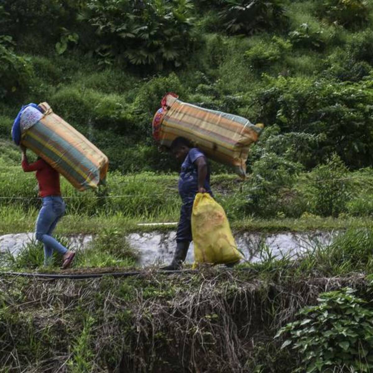 ¿Cómo avanza la situación en el Chocó tras el levantamiento del paro armado del ELN?