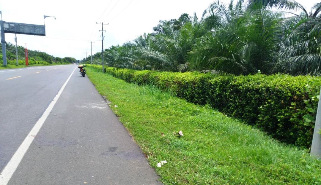Al parecer el hombre y la mujer habrían pertenecido a la estructura del Clan del Golfo 