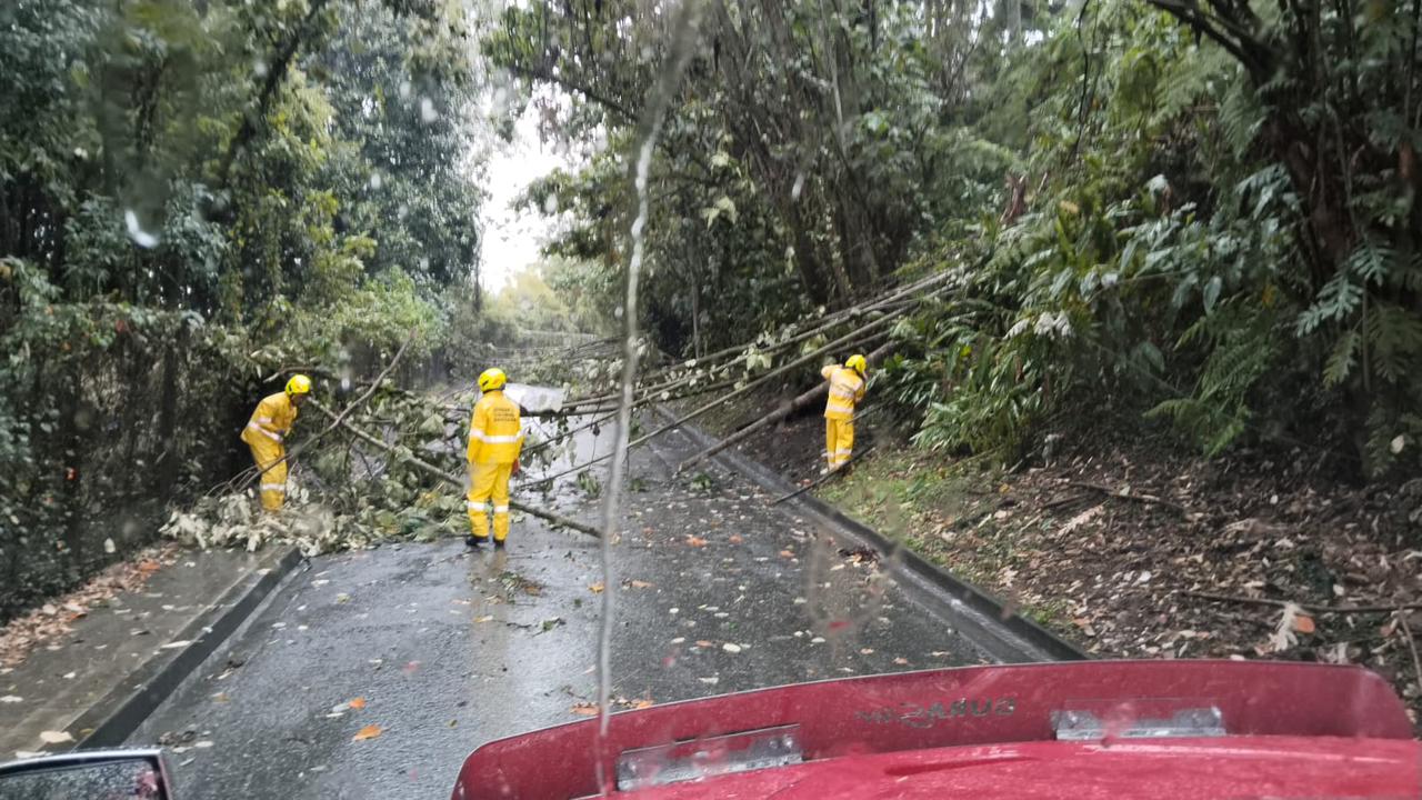 Integrantes del Cuerpo Oficial de Bomberos de Manizales removiendo los árboles que obstaculizan el paso vehicular. Foto: Unidad de Gestión del Riesgo de Manizales.