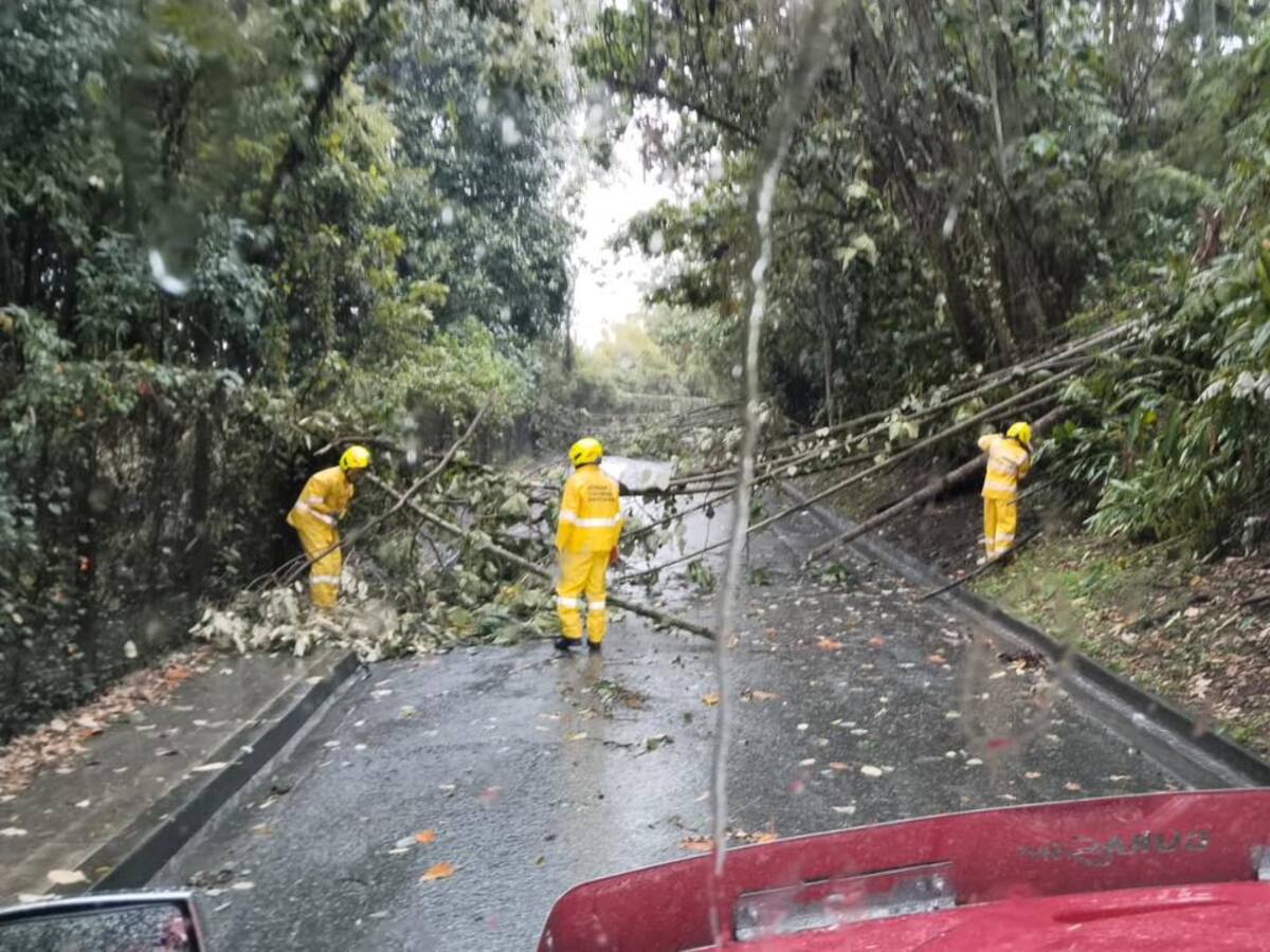 Las lluvias de las últimas horas provocan emergencias en varios sectores de Manizales