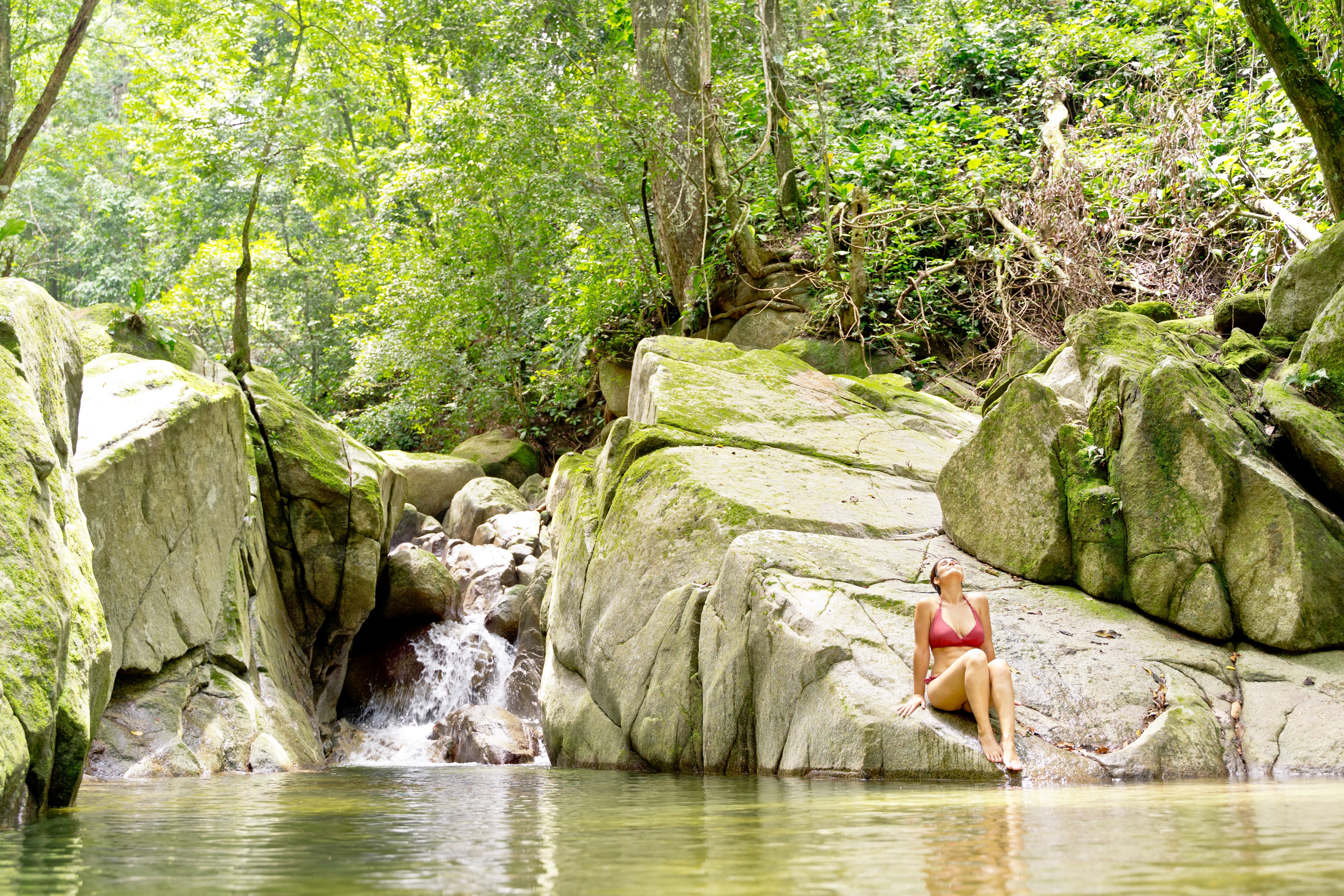 Panorámica de espacio tropical en Colombia (Getty Images).