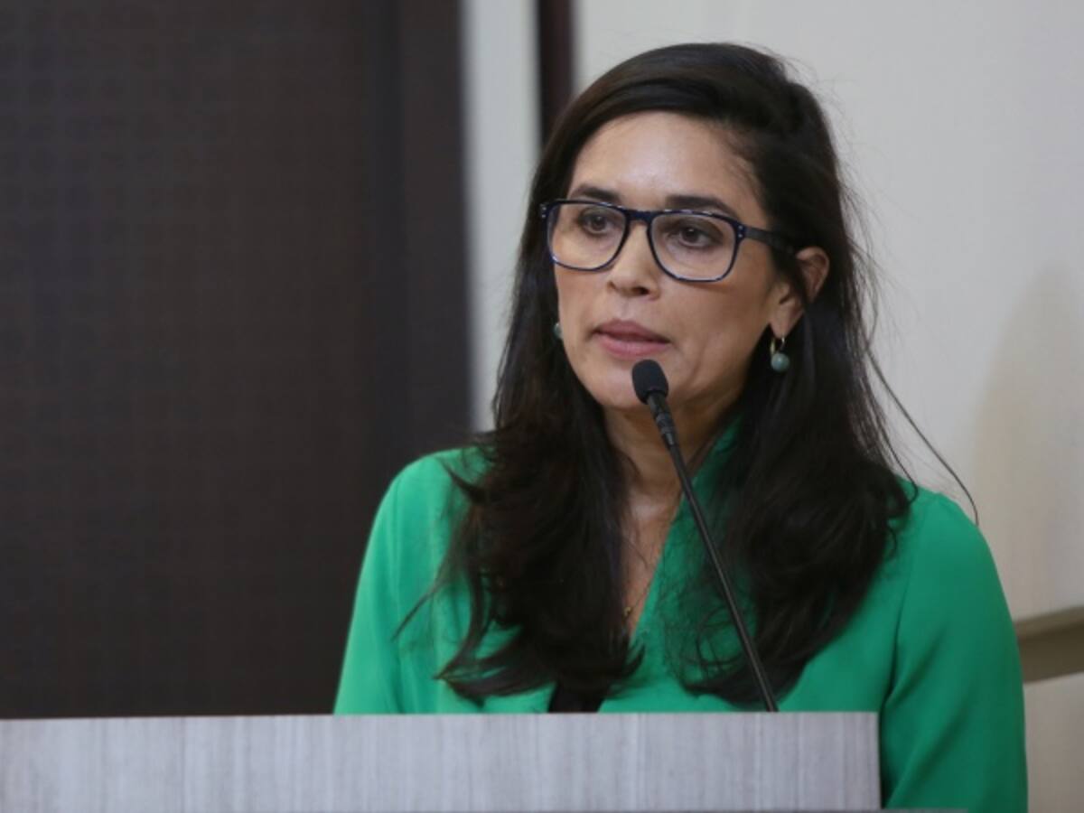 Ponente: La ley de financiamiento no es naranja ni verde