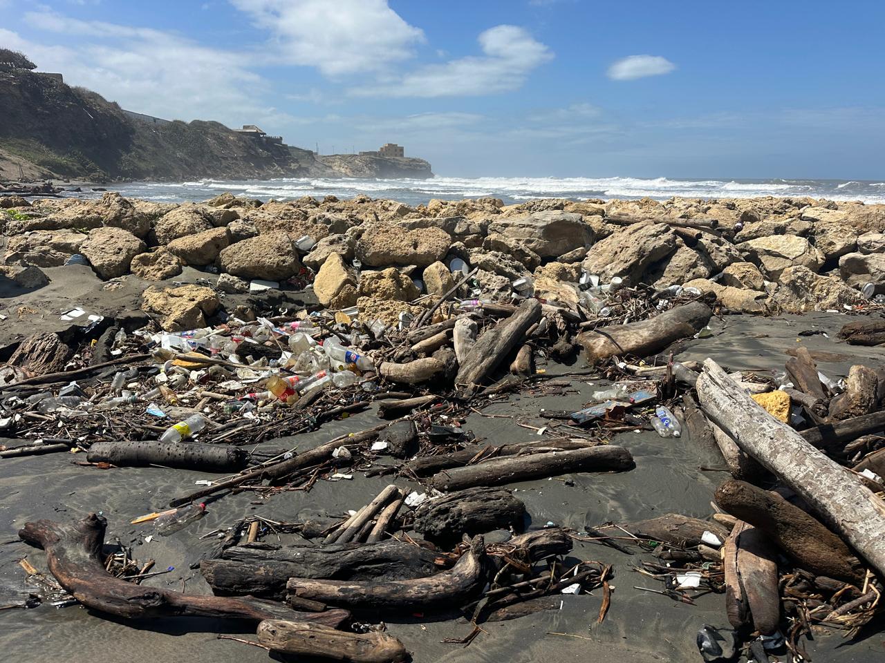 Madera náufraga retiradas de las playas de Puerto Colombia. Foto: Cortesía