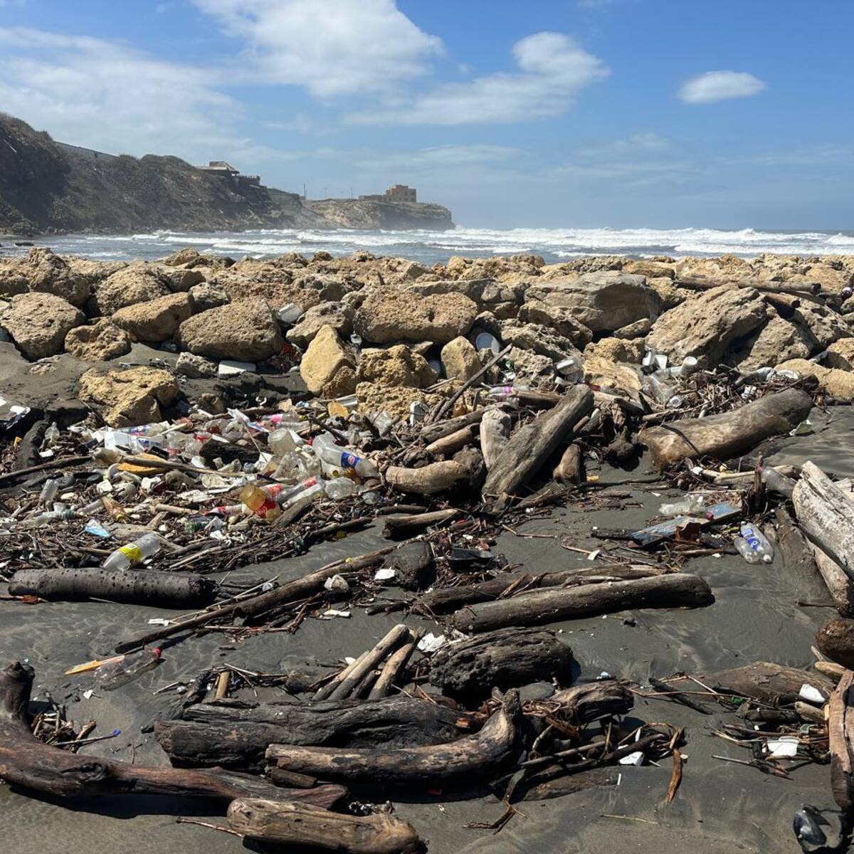 Más de 40 toneladas de madera náufraga han sido retiradas de las playas de Puerto Colombia