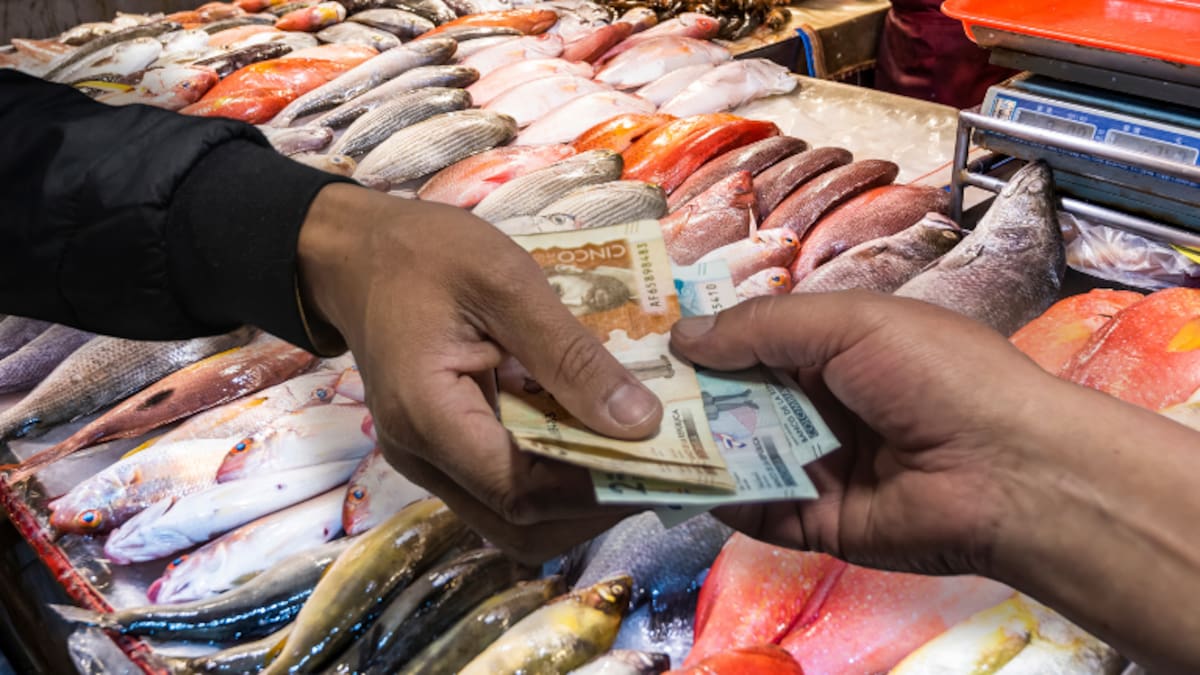 Los pescados más baratos para Cuaresma y Semana Santa: ¿dónde comprarlos? Estos son sus beneficios