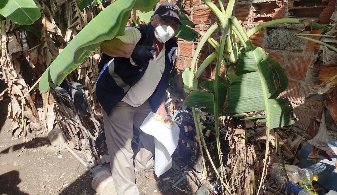 La entidad visitará de manera inadvertida a las IPS para revisar sus procesos de atención a los pacientes con Dengue