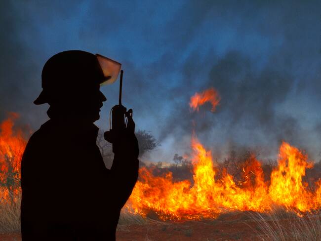 Gobierno cambiará director de Bomberos del país