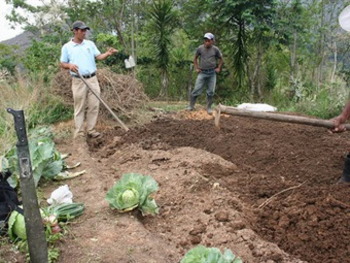 Abonos orgánicos para enfrentar el cambio climático