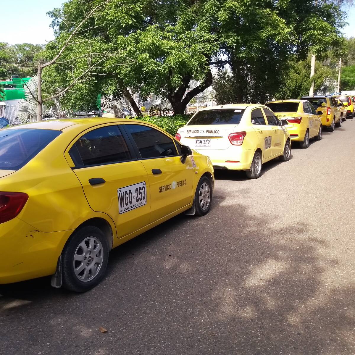 Procuraduría pidió informe para controlar vehículos de servicio público en mal estado en Cartagena