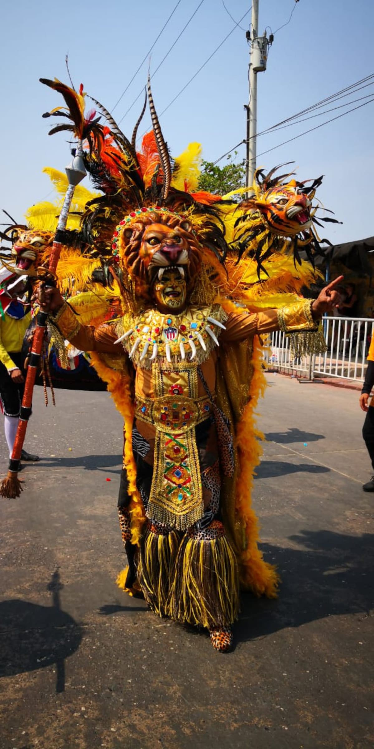 Trajes de color y sabor 