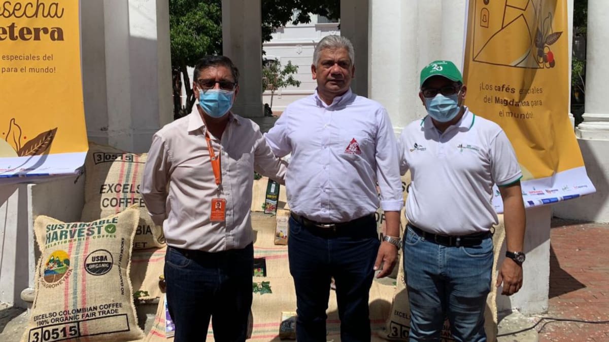 Abren convocatoria para cubrir 13 mil vacantes en el sector cafetero