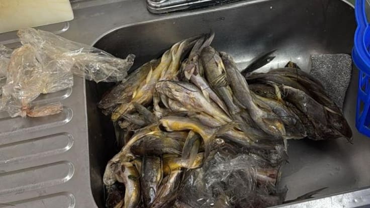 Secretario de Gobierno de Armenia