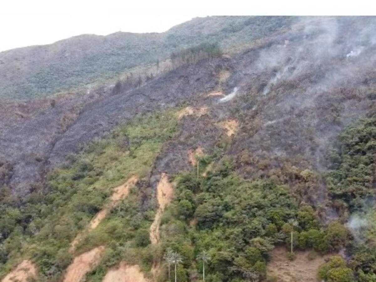 Por lo menos 31 hectáreas fueron consumidas por las llamas entre Boyacá y Santander