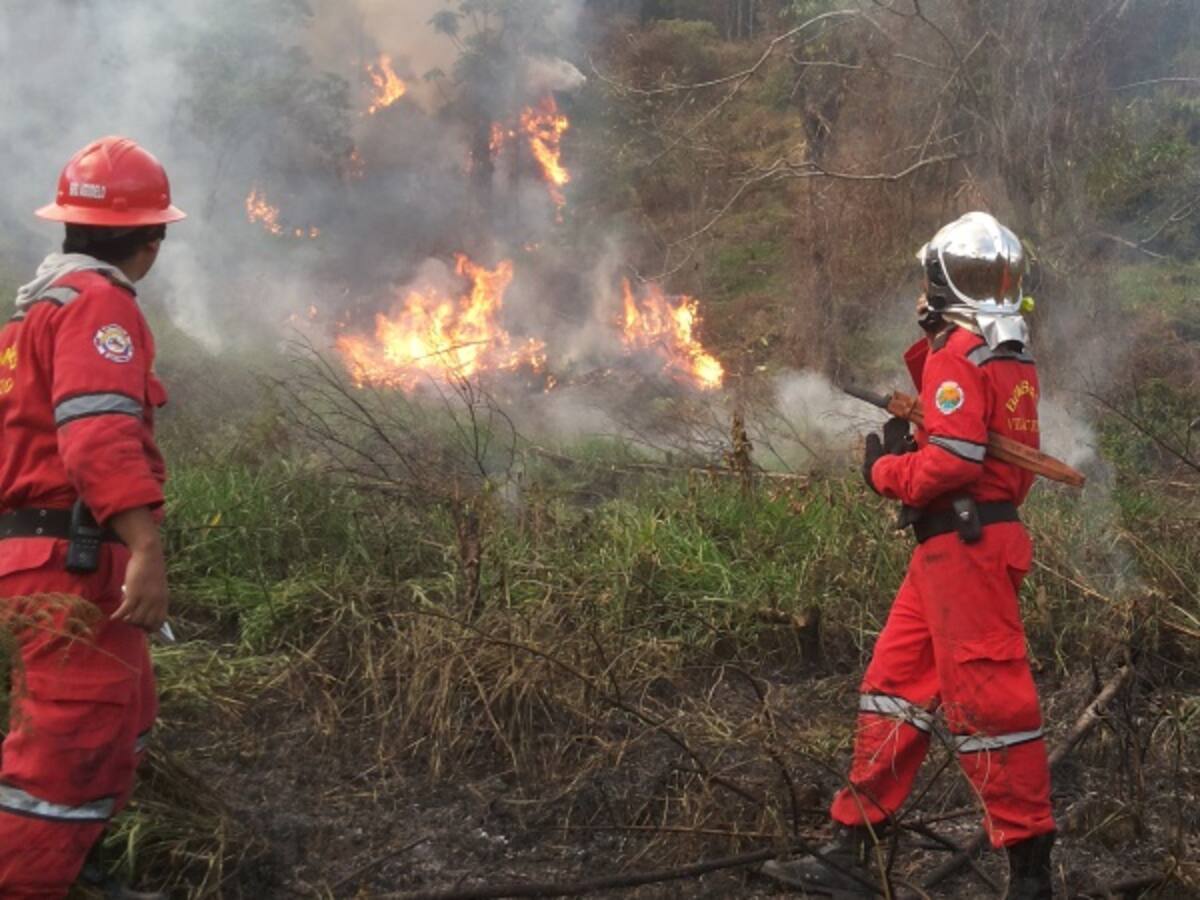 Cables de energía habrían provocado incendio en La Vega Cundinamarca