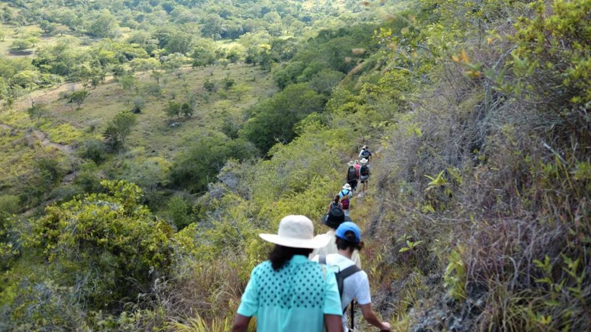 María Alejandra Holguín denuncia que cambiaron trazado de camino ancestral en Barichara