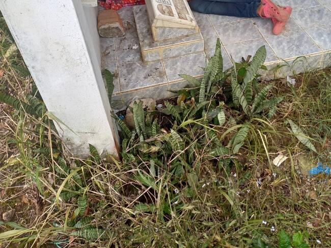 Se ha convertido para esta población, en el mejor lugar para vivir.