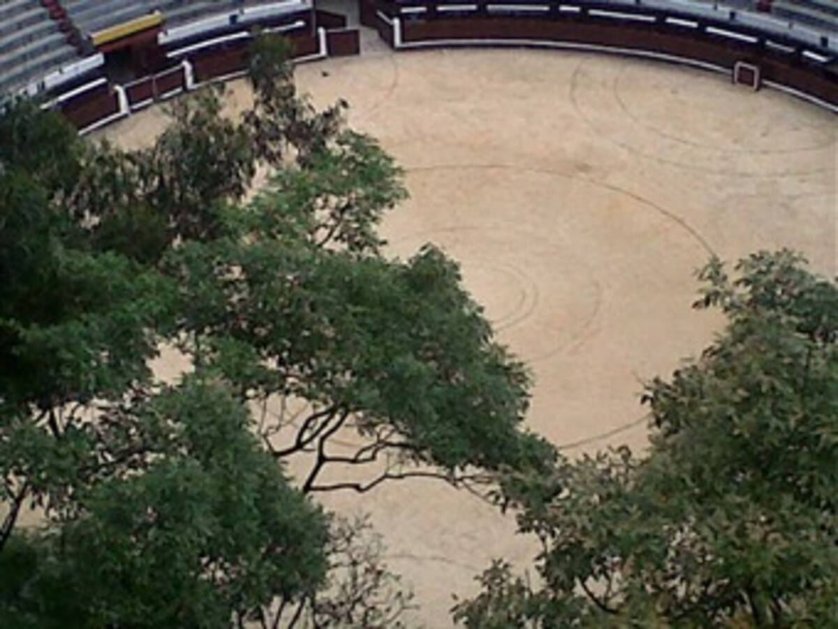 Descartan retiro del ruedo de la Plaza de Toros La Santamaría