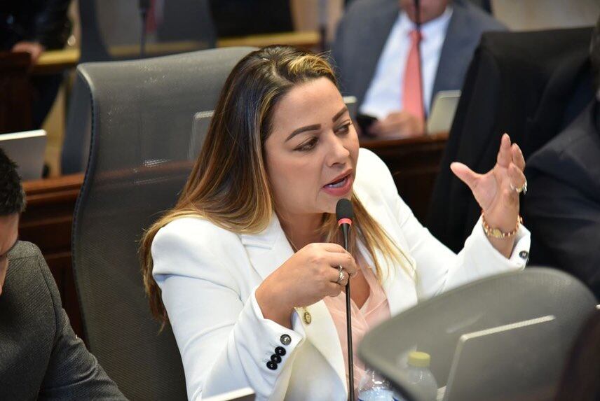 Ana Paola García Soto, representante a la Cámara.