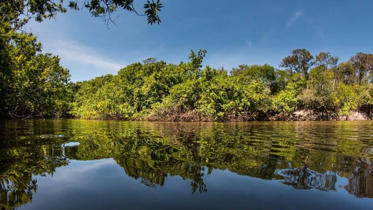 Insumos científicos para definir el futuro de la Orinoquía