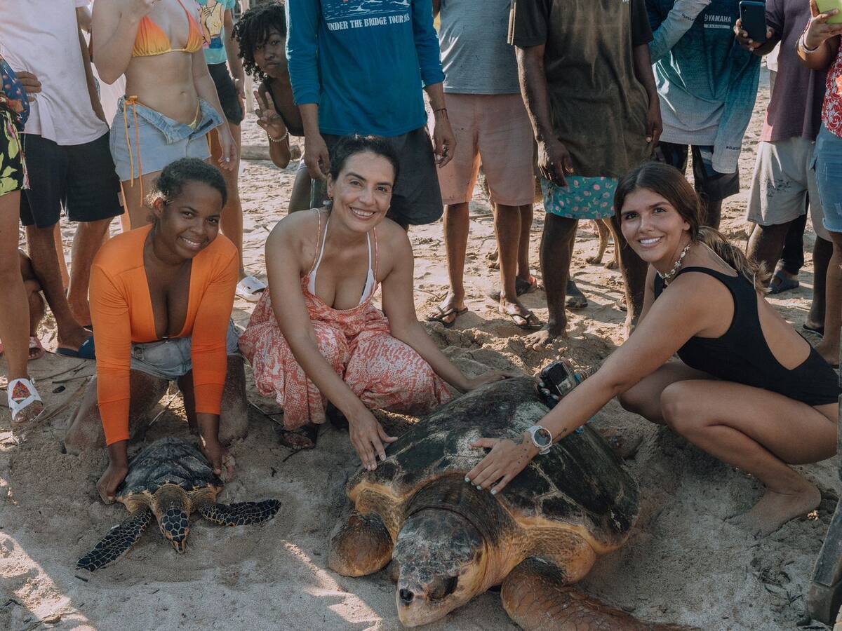 En Isla Fuerte fueron liberadas 22 tortugas marinas