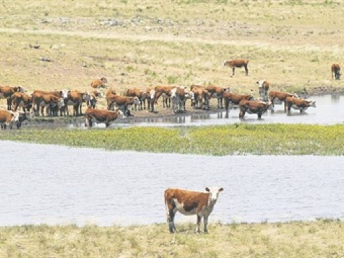 Preparémonos para que El Niño no nos pegue tan duro: Santos