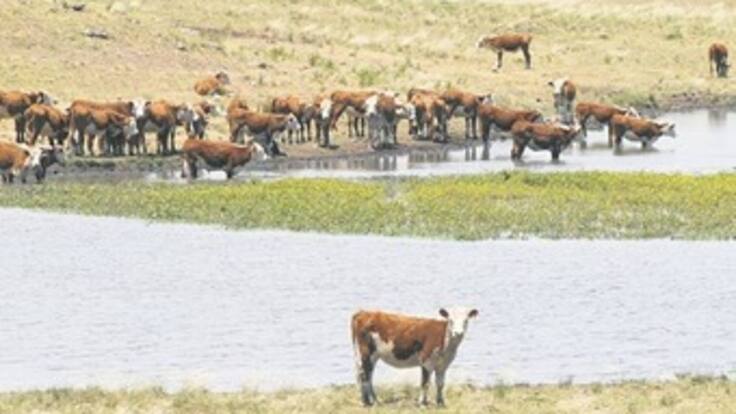 Preparémonos para que El Niño no nos pegue tan duro: Santos
