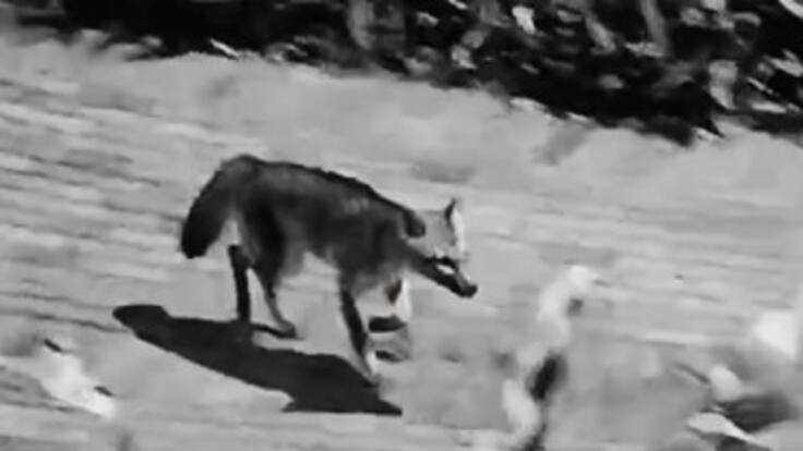 Luz Stella Gómez, directora Cultural Banco de la República