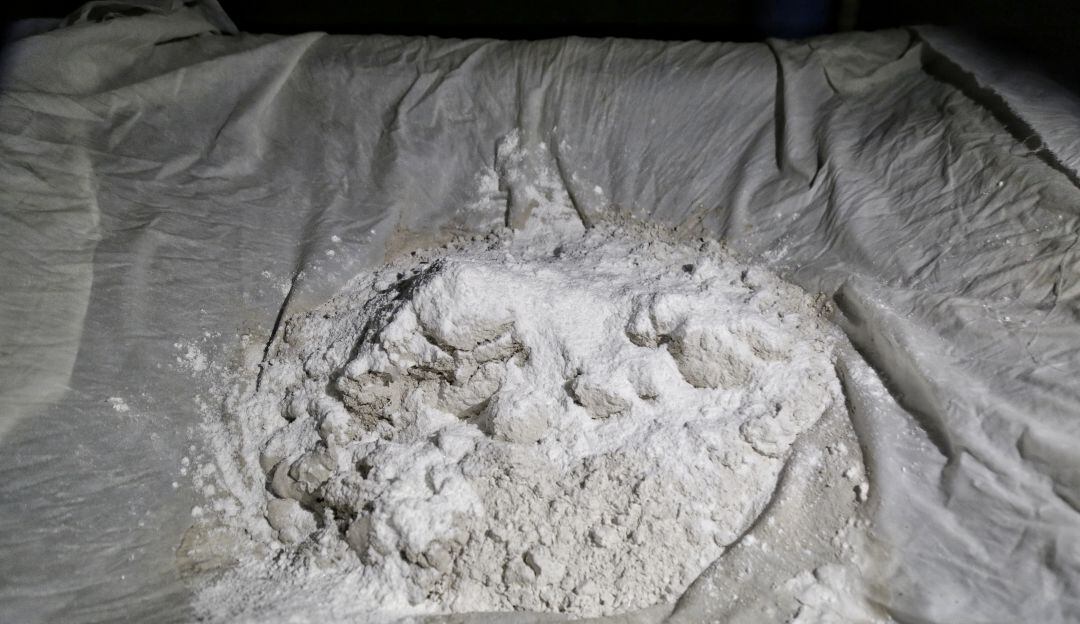 Imagen de referencia.