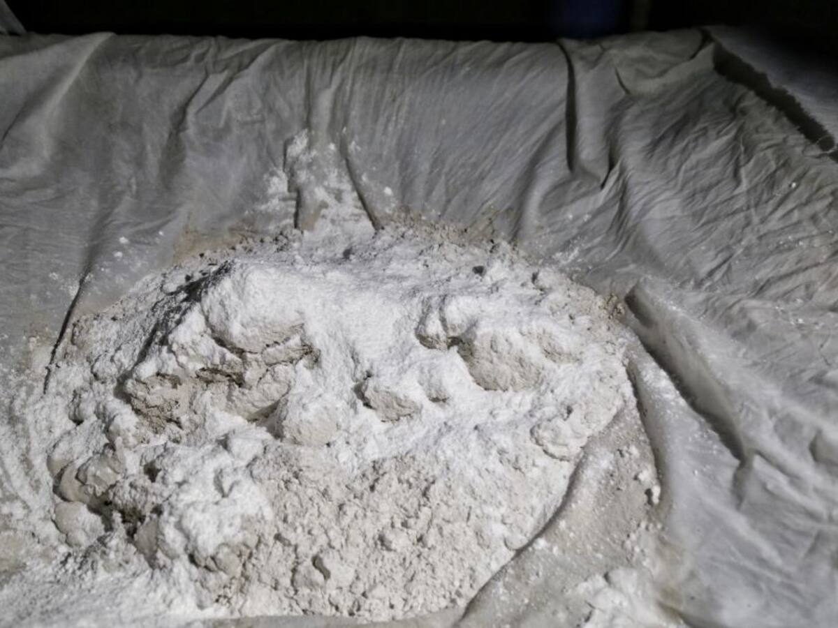 Piloto detenido en Brasil por narcotráfico sí era de la FAC