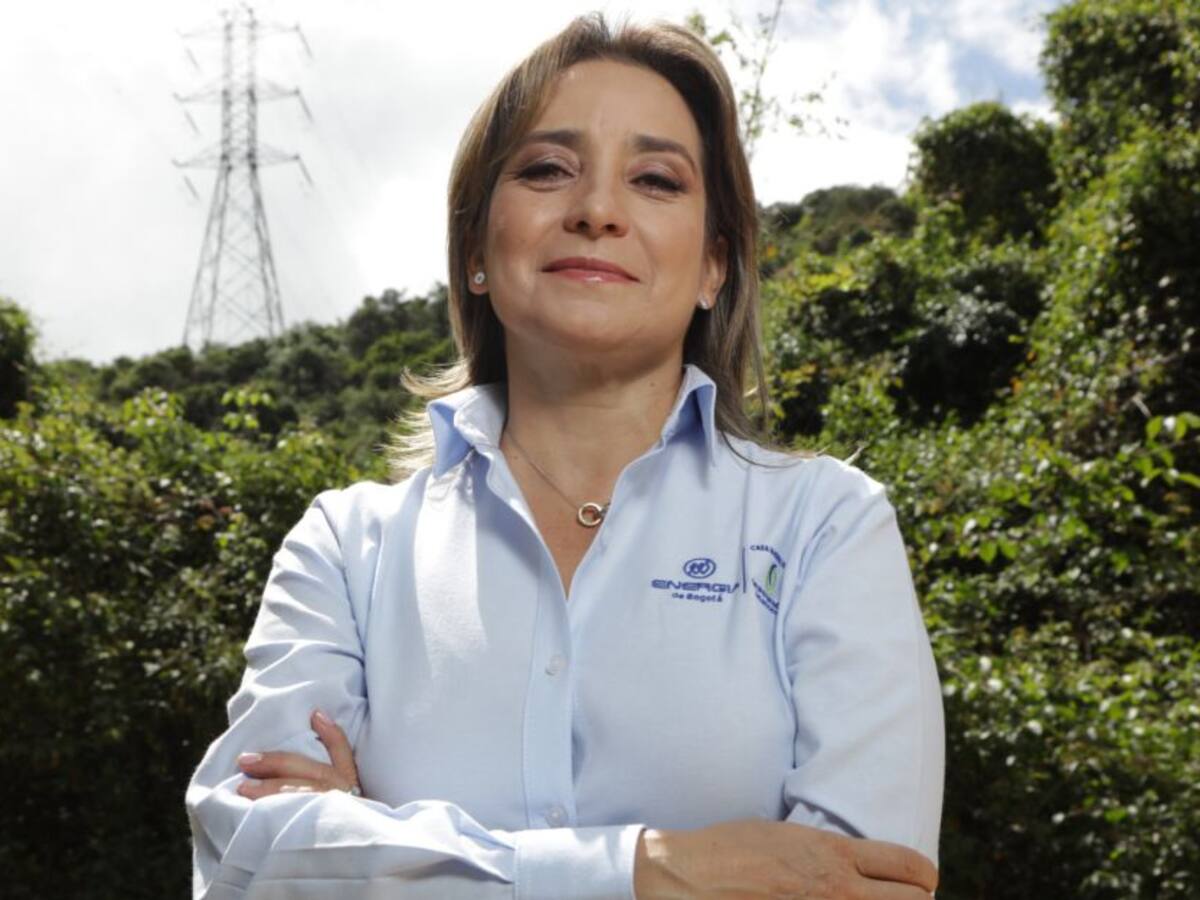 Contraloría Distrital embarga sueldo a la presidenta del Grupo Energía