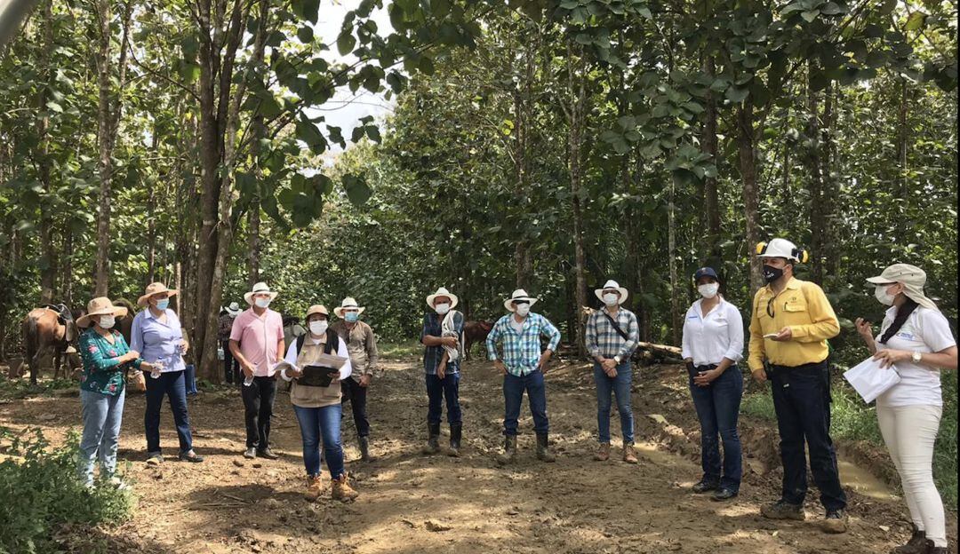 Restitución de tierras 