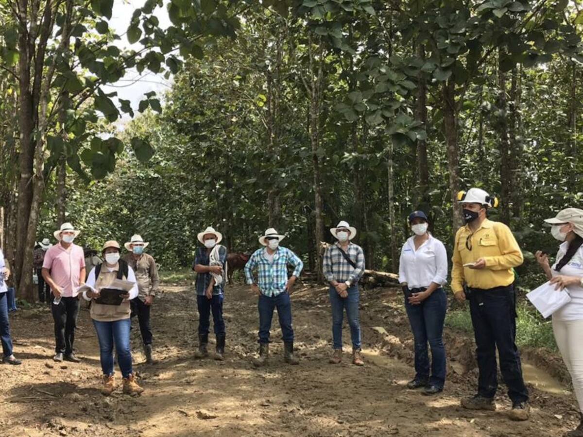 Restituyen cerca de 500 hectáreas de tierras a víctimas de Sucre