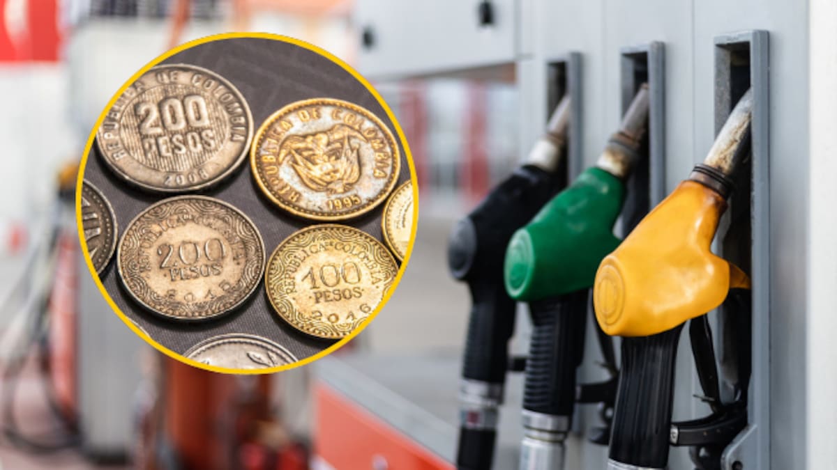 Gasolina volverá a bajar en marzo: Gobierno analiza disminución de $500