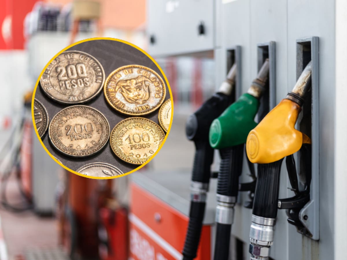 Gasolina volverá a bajar en marzo: Gobierno analiza disminución de $500