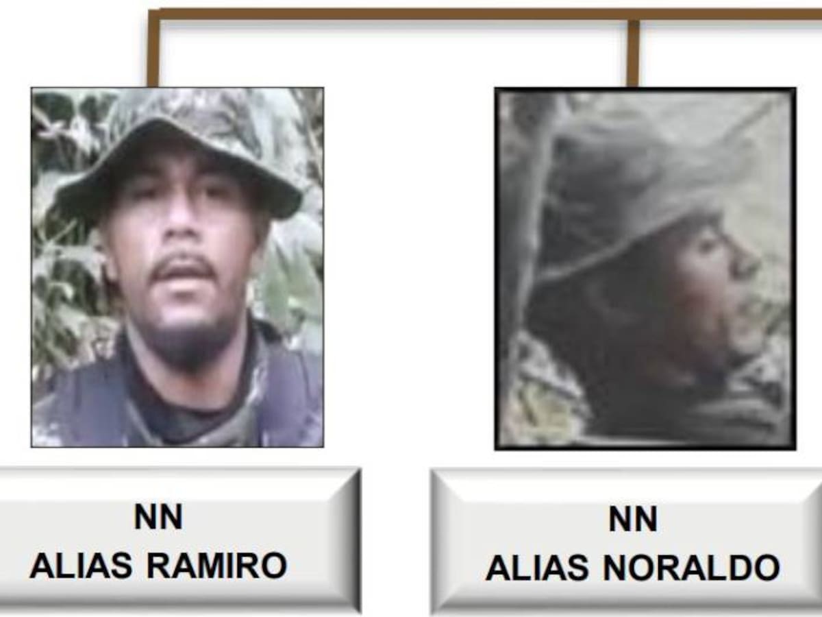 Alias Ramiro y Noraldo, exFarc, cuidan cultivos de coca en norte antioqueño