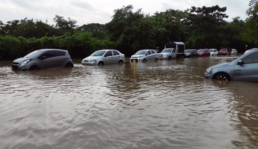 La comunidad cartagenera puede participar formulando o proponiendo proyectos, actividades y estrategias