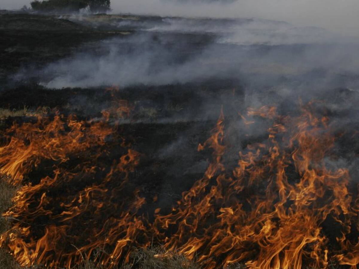 Entidades de salud le apuestan a la reducción de emisiones de GEI