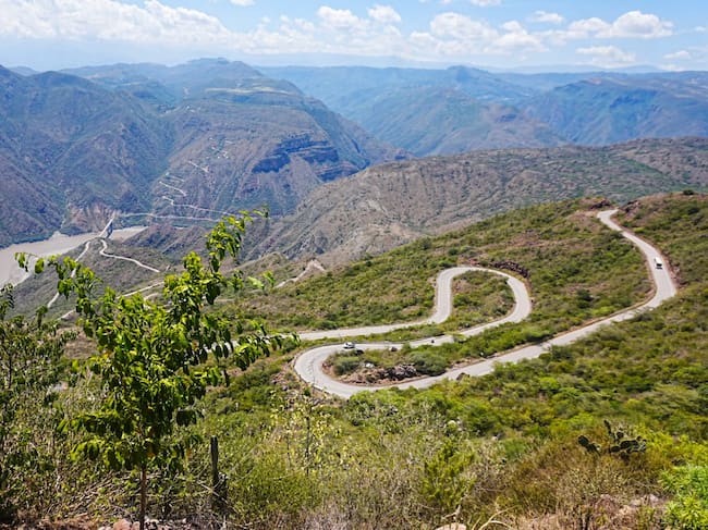 Foto: Gobernación de Santander