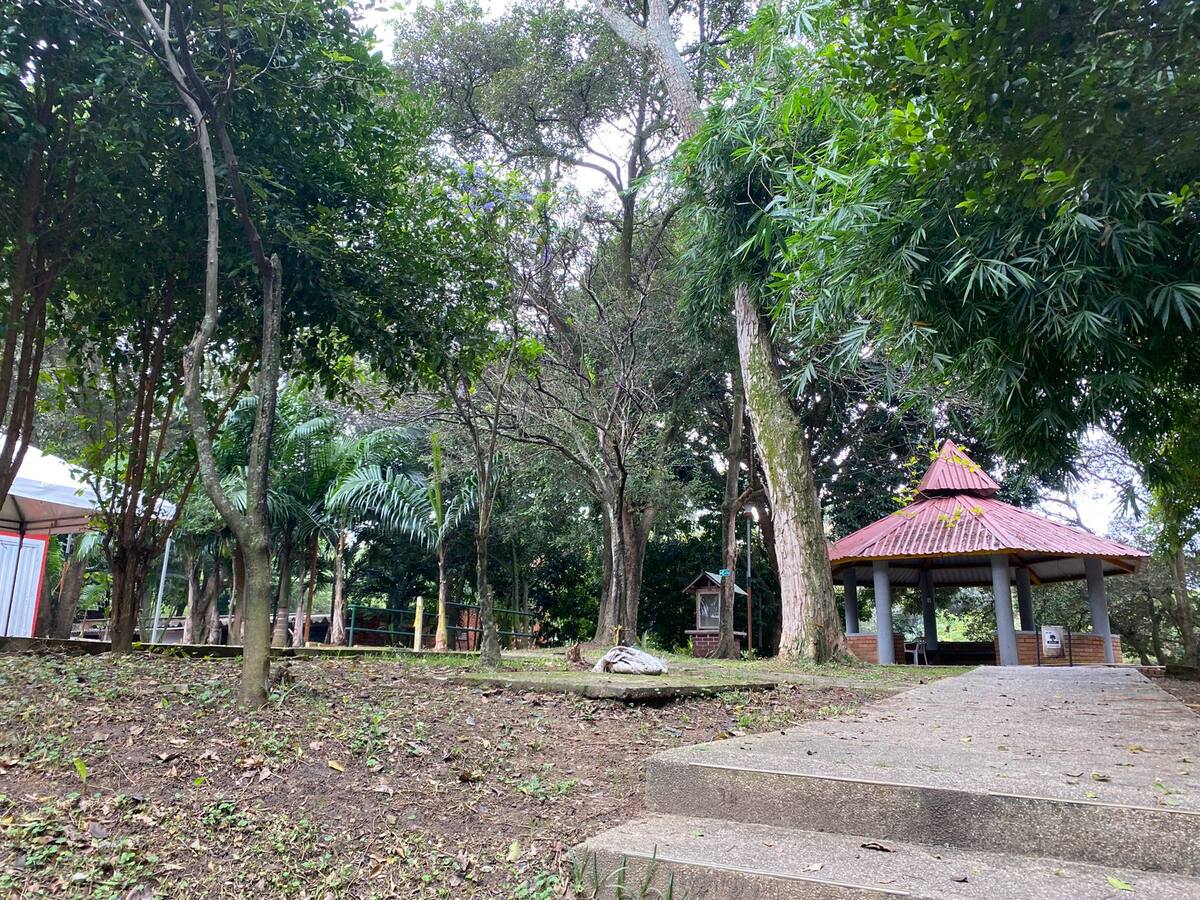 Crean comisión para evaluar futuro de unidad deportiva de Lagos